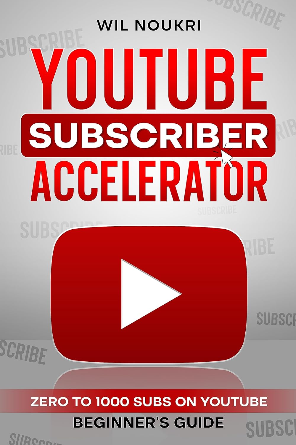 YouTube Subscriber Accelerator